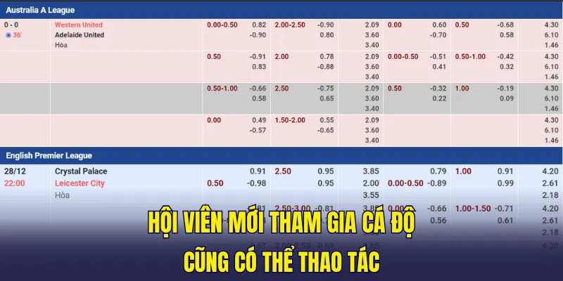 Hội viên mới tham gia cá độ cũng có thể thao tác