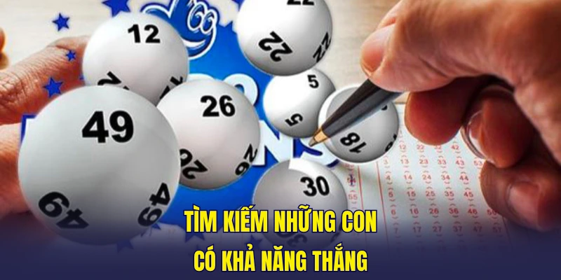 Tìm kiếm những con có khả năng thắng